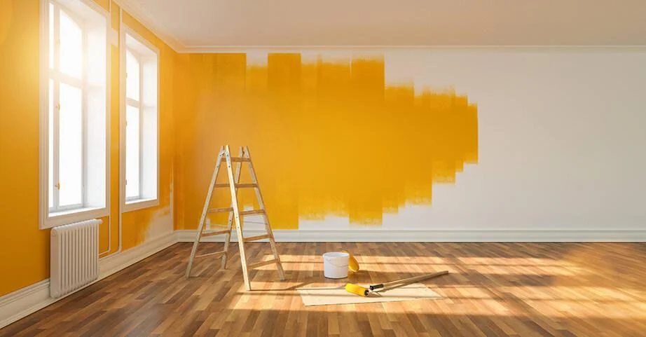 Photo rénovation Peinture Peinture Salon